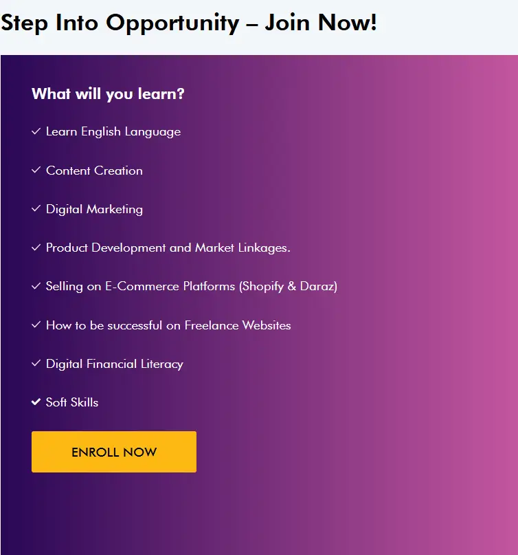 Courses and Skills Offered By Maryam Nawaz IT Training Program